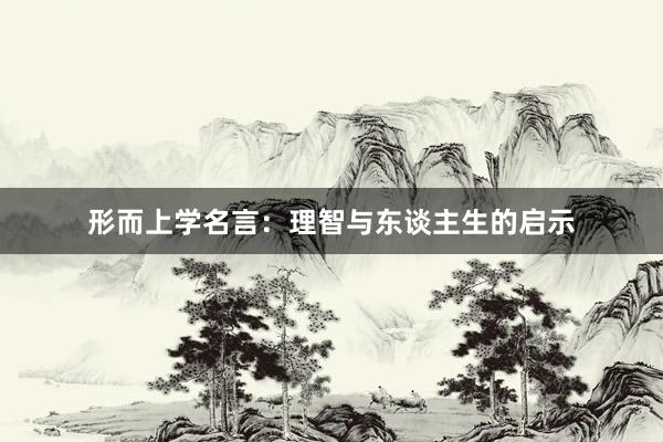 形而上学名言：理智与东谈主生的启示