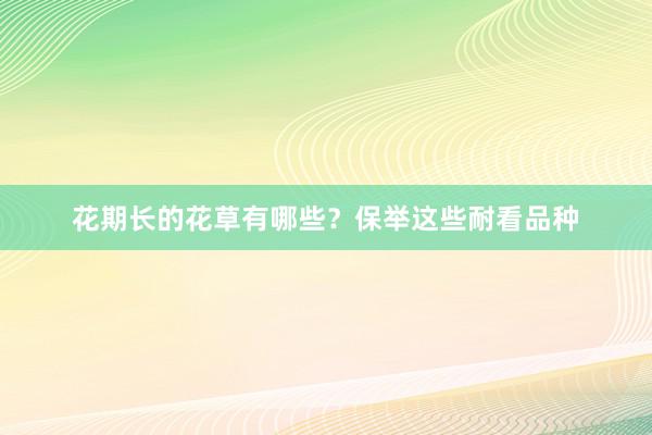 花期长的花草有哪些？保举这些耐看品种