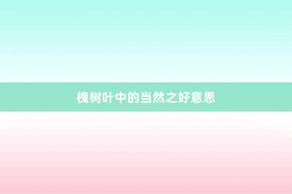 槐树叶中的当然之好意思